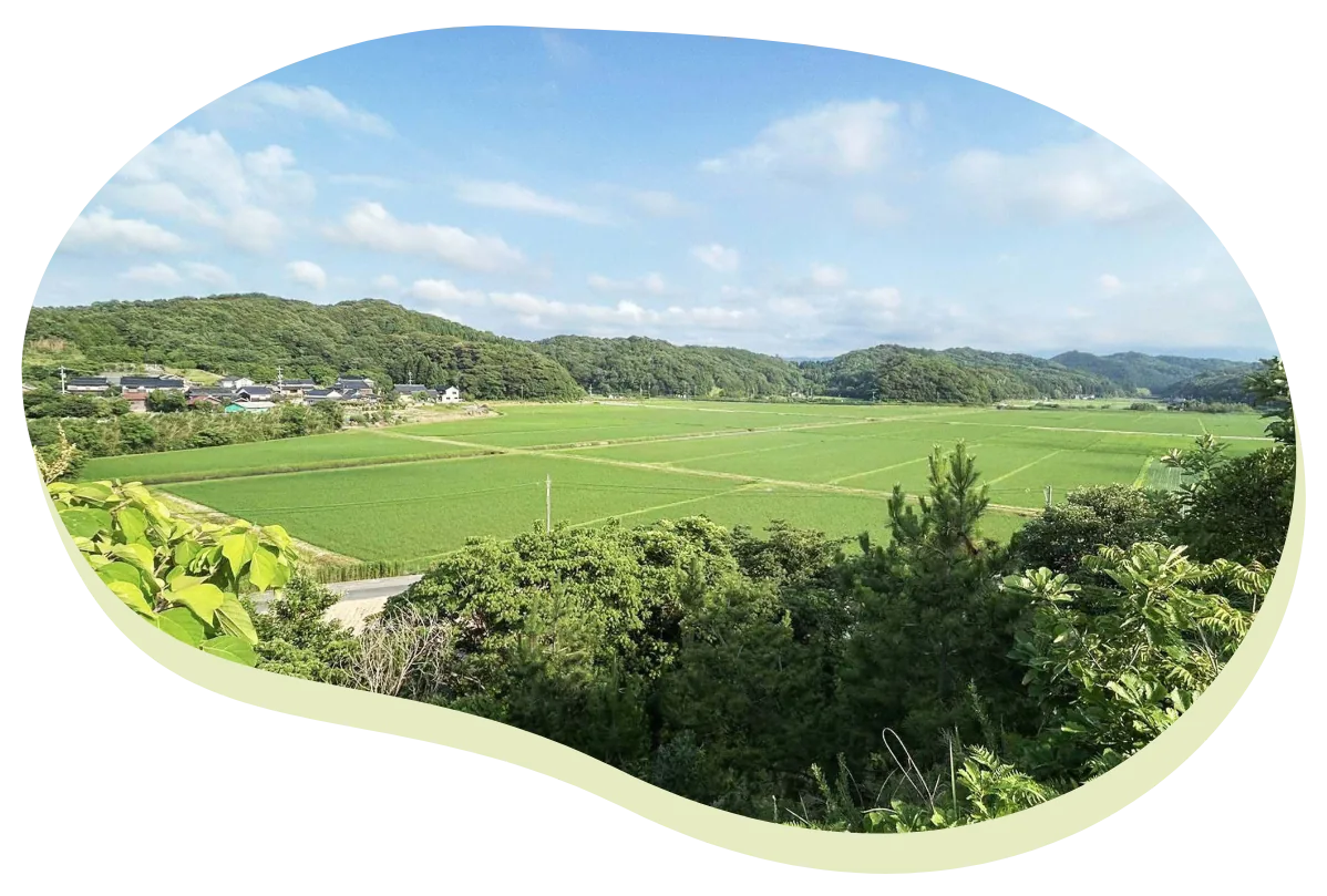 夏の日光集落