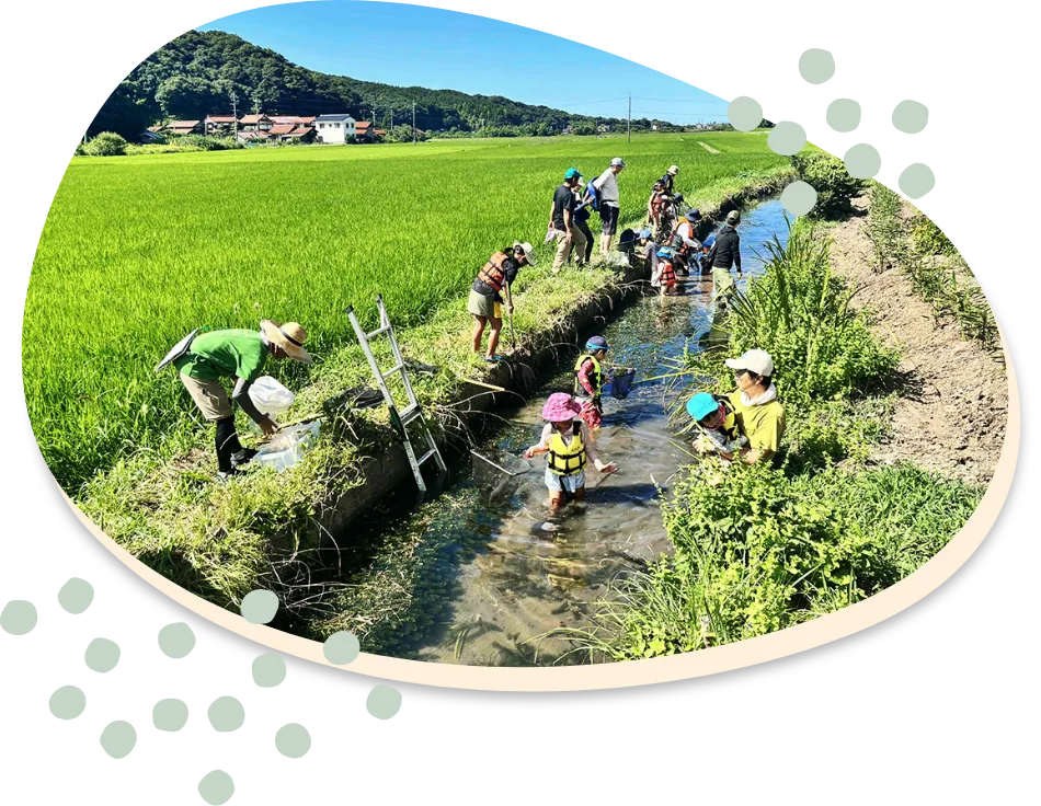 モニターツアーの様子（水路での生き物観察）