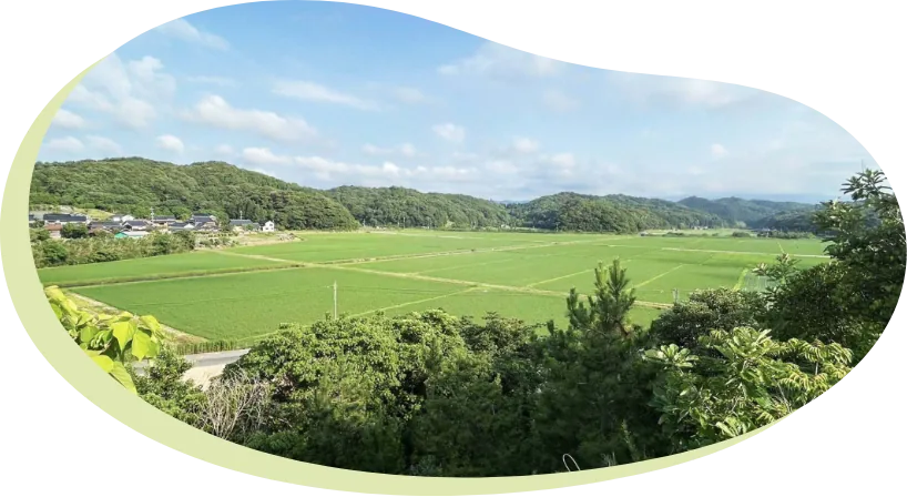 夏の日光池（田園）